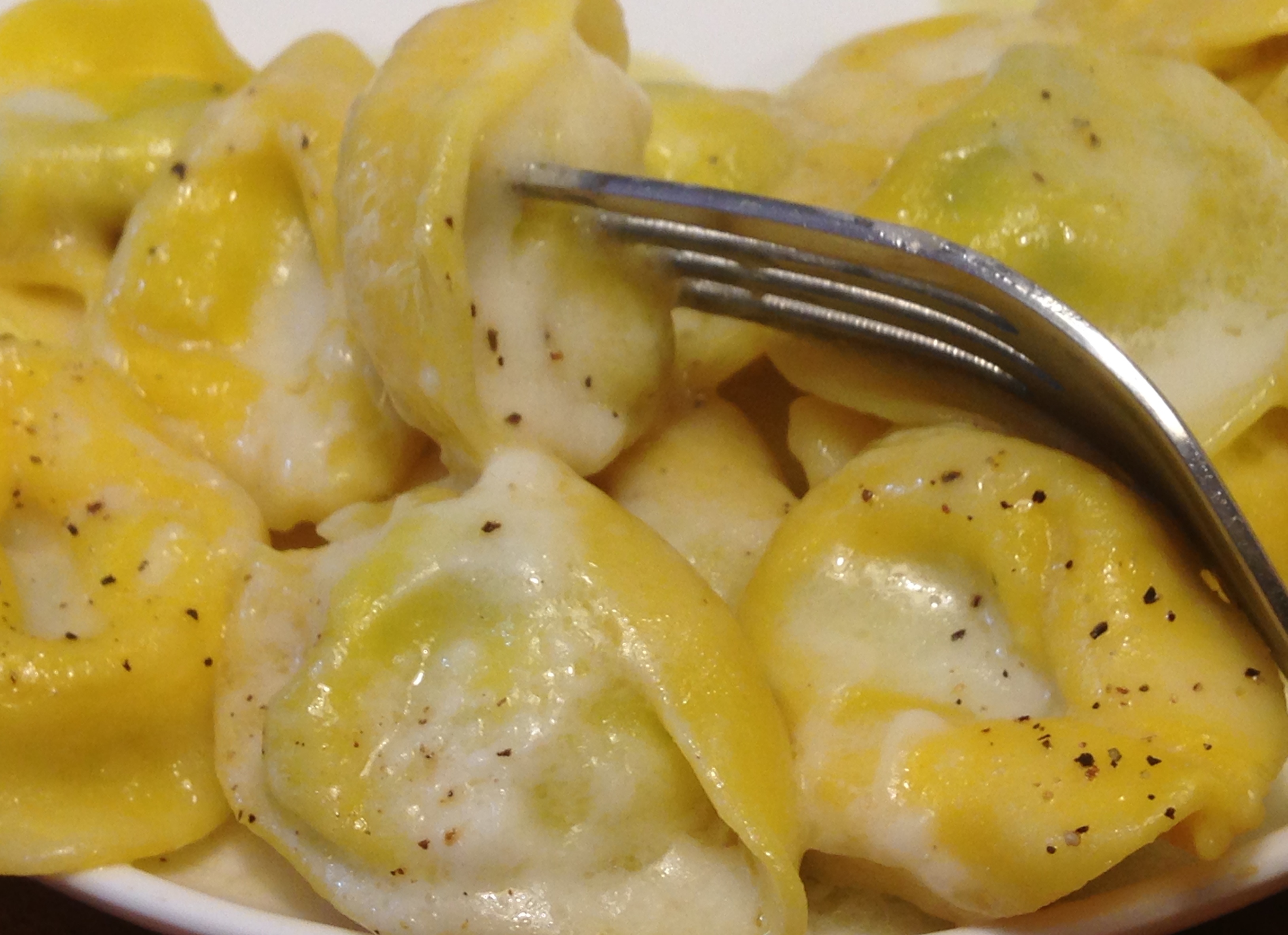 tortelli2