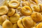anolini