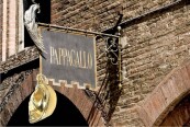 bassini-pappagallo
