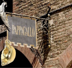 bassini-pappagallo