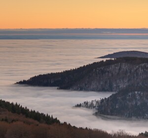 Fog