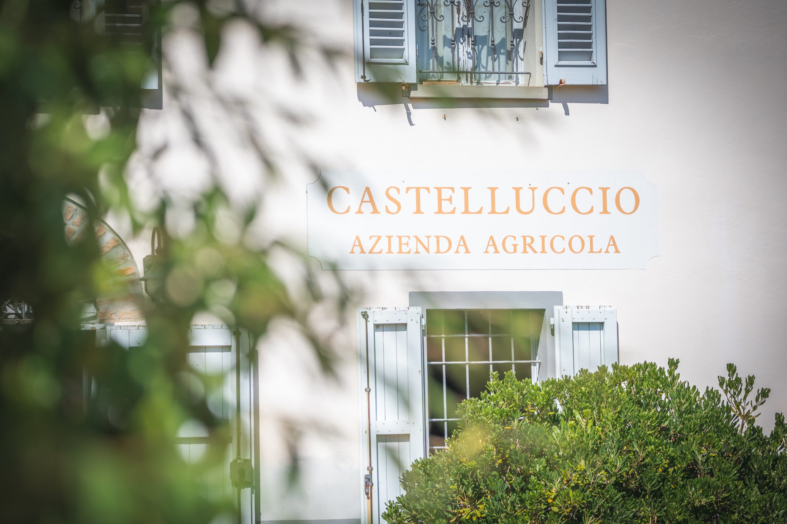 Castelluccio-scaled